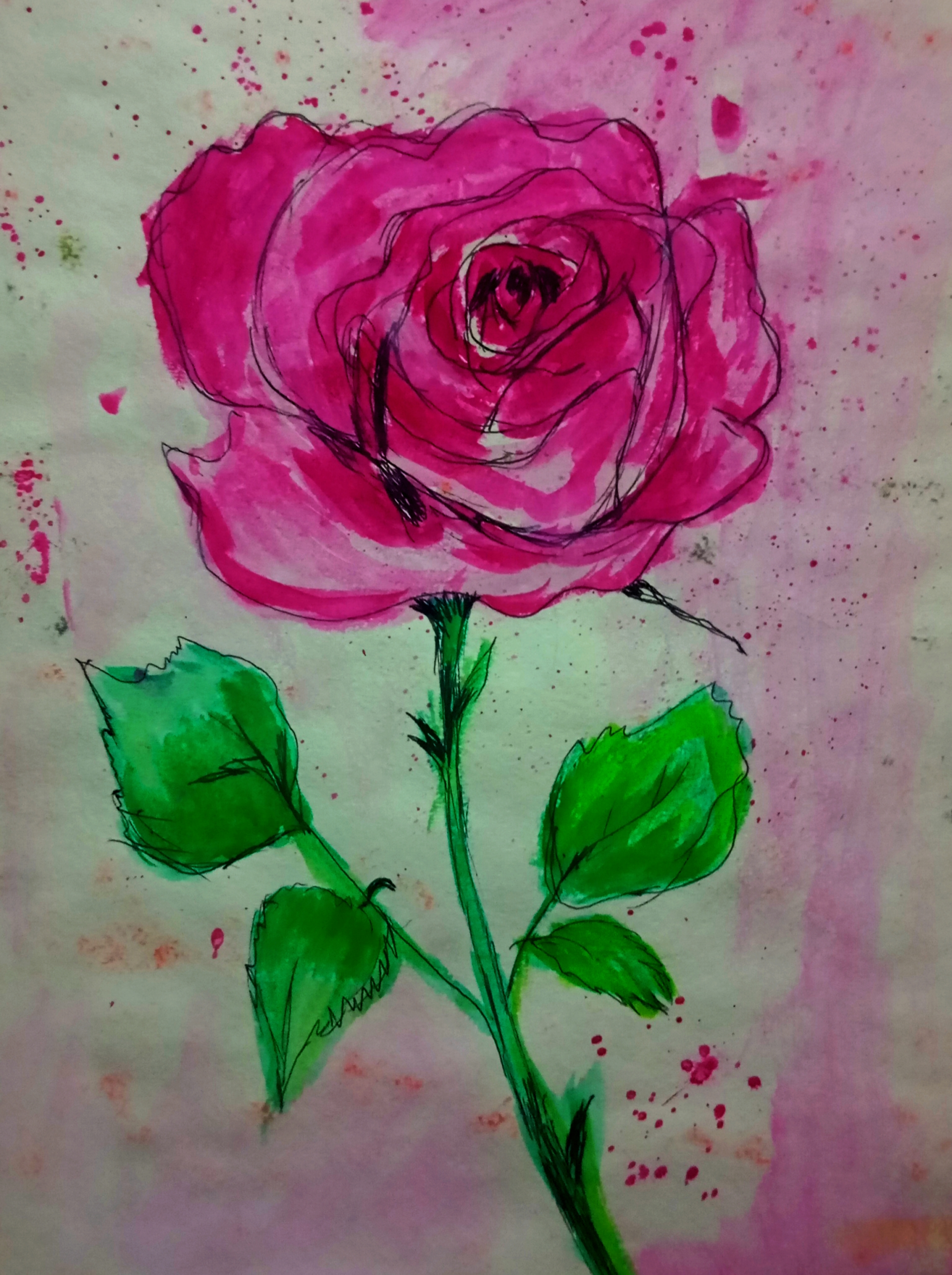 A Rose